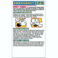 Emergency CPR Pick 4 Mega-Mags Magnet (3 1/2"x6")